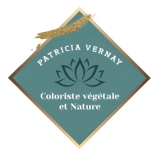 Logo Patricia Vernay Coiffure & Académie